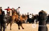 Фото: Алтан говийн амгалан тэмээн сүрэг Фото: Алтан говийн амгалан тэмээн сүрэг