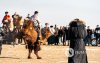 Фото: Алтан говийн амгалан тэмээн сүрэг Фото: Алтан говийн амгалан тэмээн сүрэг