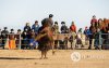Фото: Алтан говийн амгалан тэмээн сүрэг Фото: Алтан говийн амгалан тэмээн сүрэг