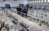 Фото: Ким Жон Ун социалист диваажингийн нээлтэд оролцов Фото: Ким Жон Ун социалист диваажингийн нээлтэд оролцов