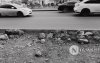 Фото : Алхах зам уу, саад бэрхшээл үү? Фото : Алхах зам уу, саад бэрхшээл үү?