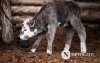 Фото сурвалжлага: Хаврын өнгө Фото сурвалжлага: Хаврын өнгө