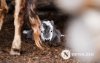 Фото сурвалжлага: Хаврын өнгө Фото сурвалжлага: Хаврын өнгө