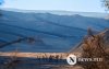Фото сурвалжлага: Хаврын өнгө Фото сурвалжлага: Хаврын өнгө