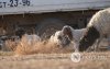 Фото сурвалжлага: Хаврын өнгө Фото сурвалжлага: Хаврын өнгө