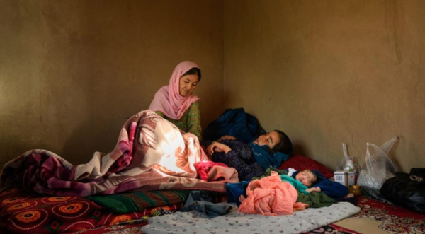 World Press Photo: Оны шилдэг гэрэл зургуудыг шалгарууллаа