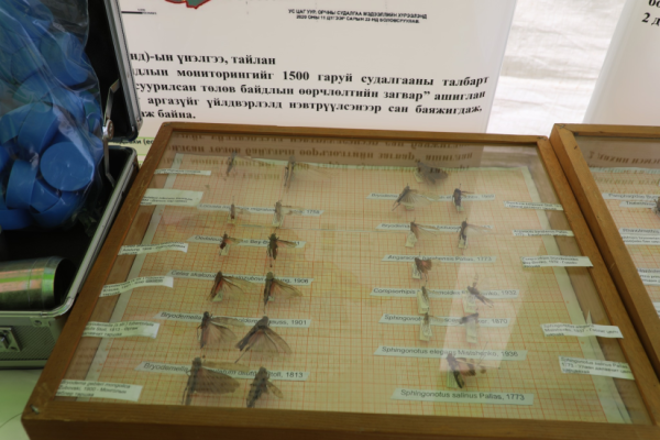 Байгаль орчны салбарын "Нээлттэй хаалганы өдөрлөг” гурван өдөр үргэлжилнэ