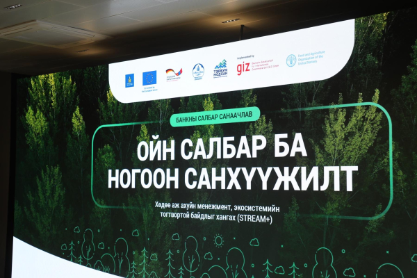 БОУАӨ-ийн сайд Ц.Сандаг-Очир: Ойн салбарт тохирсон ногоон санхүүжилтийн тогтолцоо бүрдүүлэх шаардлагатай