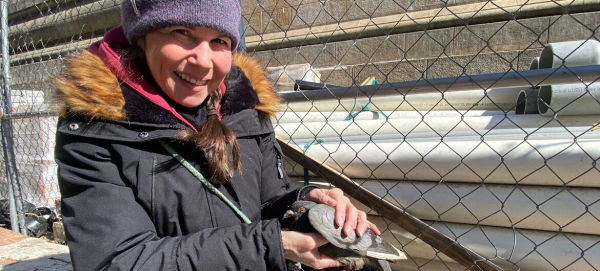 «Каждая птица важна»: как жители городов могут помочь защитить пернатых