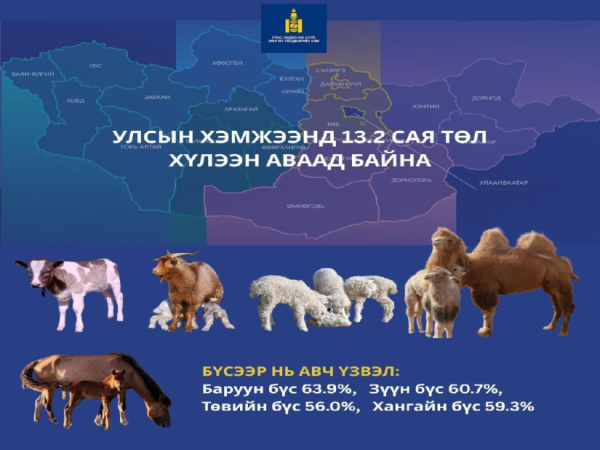Улсын хэмжээнд 13.2 сая төл хүлээн аваад байна