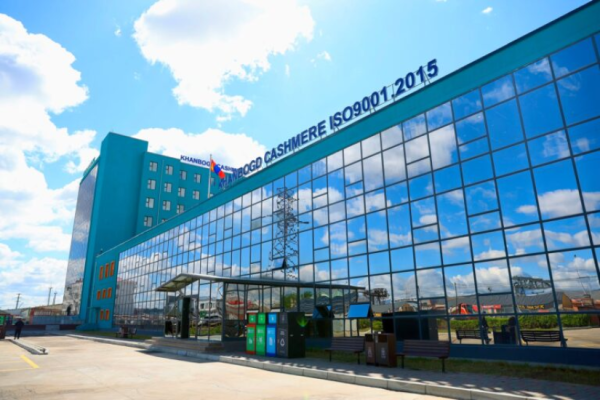 “Цагаан алт” хөтөлбөрийн дүнд самнасан ноолуурын экспорт 330 сая ам.долларт хүрчээ
