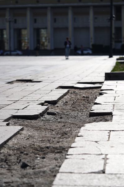 Д.Сүхбаатарын талбайн орчимд 70 орчим цэцэг суулгана