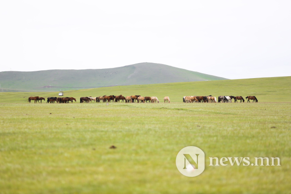 Фото: Хүлгийн туурайн чимээнд монгол хүний хийморь сэргэдэг Фото: Хүлгийн туурайн чимээнд монгол хүний хийморь сэргэдэг