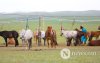 Фото: Хүлгийн туурайн чимээнд монгол хүний хийморь сэргэдэг Фото: Хүлгийн туурайн чимээнд монгол хүний хийморь сэргэдэг