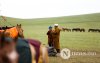 Фото: Хүлгийн туурайн чимээнд монгол хүний хийморь сэргэдэг Фото: Хүлгийн туурайн чимээнд монгол хүний хийморь сэргэдэг