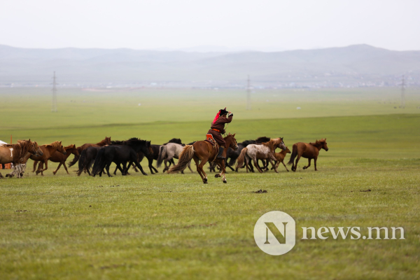 Фото: Хүлгийн туурайн чимээнд монгол хүний хийморь сэргэдэг Фото: Хүлгийн туурайн чимээнд монгол хүний хийморь сэргэдэг