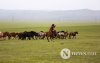 Фото: Хүлгийн туурайн чимээнд монгол хүний хийморь сэргэдэг Фото: Хүлгийн туурайн чимээнд монгол хүний хийморь сэргэдэг