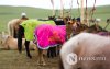Фото: Хүлгийн туурайн чимээнд монгол хүний хийморь сэргэдэг Фото: Хүлгийн туурайн чимээнд монгол хүний хийморь сэргэдэг