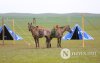 Фото: Хүлгийн туурайн чимээнд монгол хүний хийморь сэргэдэг Фото: Хүлгийн туурайн чимээнд монгол хүний хийморь сэргэдэг