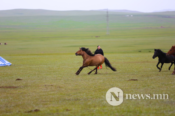 Фото: Хүлгийн туурайн чимээнд монгол хүний хийморь сэргэдэг Фото: Хүлгийн туурайн чимээнд монгол хүний хийморь сэргэдэг