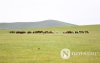 Фото: Хүлгийн туурайн чимээнд монгол хүний хийморь сэргэдэг Фото: Хүлгийн туурайн чимээнд монгол хүний хийморь сэргэдэг