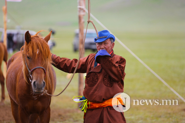 Фото: Хүлгийн туурайн чимээнд монгол хүний хийморь сэргэдэг Фото: Хүлгийн туурайн чимээнд монгол хүний хийморь сэргэдэг