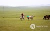 Фото: Хүлгийн туурайн чимээнд монгол хүний хийморь сэргэдэг Фото: Хүлгийн туурайн чимээнд монгол хүний хийморь сэргэдэг