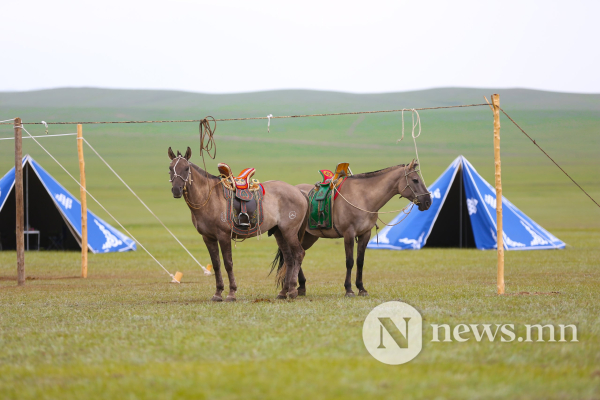Фото: Хүлгийн туурайн чимээнд монгол хүний хийморь сэргэдэг Фото: Хүлгийн туурайн чимээнд монгол хүний хийморь сэргэдэг