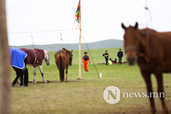 Фото: Хүлгийн туурайн чимээнд монгол хүний хийморь сэргэдэг Фото: Хүлгийн туурайн чимээнд монгол хүний хийморь сэргэдэг
