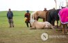 Фото: Хүлгийн туурайн чимээнд монгол хүний хийморь сэргэдэг Фото: Хүлгийн туурайн чимээнд монгол хүний хийморь сэргэдэг