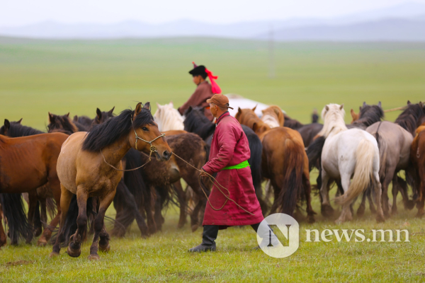 Фото: Хүлгийн туурайн чимээнд монгол хүний хийморь сэргэдэг Фото: Хүлгийн туурайн чимээнд монгол хүний хийморь сэргэдэг