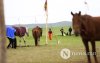 Фото: Хүлгийн туурайн чимээнд монгол хүний хийморь сэргэдэг Фото: Хүлгийн туурайн чимээнд монгол хүний хийморь сэргэдэг