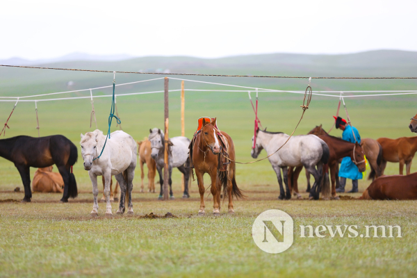 Фото: Хүлгийн туурайн чимээнд монгол хүний хийморь сэргэдэг Фото: Хүлгийн туурайн чимээнд монгол хүний хийморь сэргэдэг