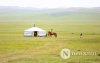 Фото: Хүлгийн туурайн чимээнд монгол хүний хийморь сэргэдэг Фото: Хүлгийн туурайн чимээнд монгол хүний хийморь сэргэдэг