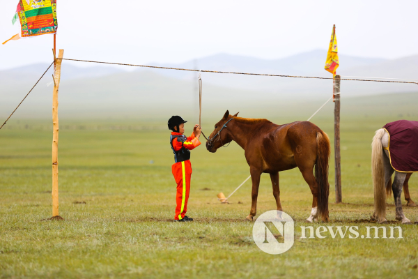Фото: Хүлгийн туурайн чимээнд монгол хүний хийморь сэргэдэг Фото: Хүлгийн туурайн чимээнд монгол хүний хийморь сэргэдэг