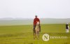 Фото: Хүлгийн туурайн чимээнд монгол хүний хийморь сэргэдэг Фото: Хүлгийн туурайн чимээнд монгол хүний хийморь сэргэдэг