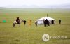 Фото: Хүлгийн туурайн чимээнд монгол хүний хийморь сэргэдэг Фото: Хүлгийн туурайн чимээнд монгол хүний хийморь сэргэдэг