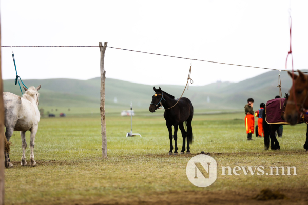 Фото: Хүлгийн туурайн чимээнд монгол хүний хийморь сэргэдэг Фото: Хүлгийн туурайн чимээнд монгол хүний хийморь сэргэдэг