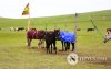 Фото: Хүлгийн туурайн чимээнд монгол хүний хийморь сэргэдэг Фото: Хүлгийн туурайн чимээнд монгол хүний хийморь сэргэдэг
