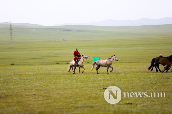 Фото: Хүлгийн туурайн чимээнд монгол хүний хийморь сэргэдэг Фото: Хүлгийн туурайн чимээнд монгол хүний хийморь сэргэдэг