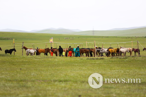 Фото: Хүлгийн туурайн чимээнд монгол хүний хийморь сэргэдэг Фото: Хүлгийн туурайн чимээнд монгол хүний хийморь сэргэдэг
