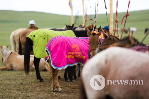 Фото: Хүлгийн туурайн чимээнд монгол хүний хийморь сэргэдэг Фото: Хүлгийн туурайн чимээнд монгол хүний хийморь сэргэдэг