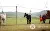 Фото: Хүлгийн туурайн чимээнд монгол хүний хийморь сэргэдэг Фото: Хүлгийн туурайн чимээнд монгол хүний хийморь сэргэдэг