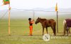 Фото: Хүлгийн туурайн чимээнд монгол хүний хийморь сэргэдэг Фото: Хүлгийн туурайн чимээнд монгол хүний хийморь сэргэдэг