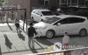 Фото сурвалжлага: Хүүхдүүдэд гоё зуслан биш аюулгүй тоглох газар хэрэгтэй байна Фото сурвалжлага: Хүүхдүүдэд гоё зуслан биш аюулгүй тоглох газар хэрэгтэй байна