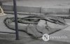 Фото сурвалжлага: Хүүхдүүдэд гоё зуслан биш аюулгүй тоглох газар хэрэгтэй байна Фото сурвалжлага: Хүүхдүүдэд гоё зуслан биш аюулгүй тоглох газар хэрэгтэй байна