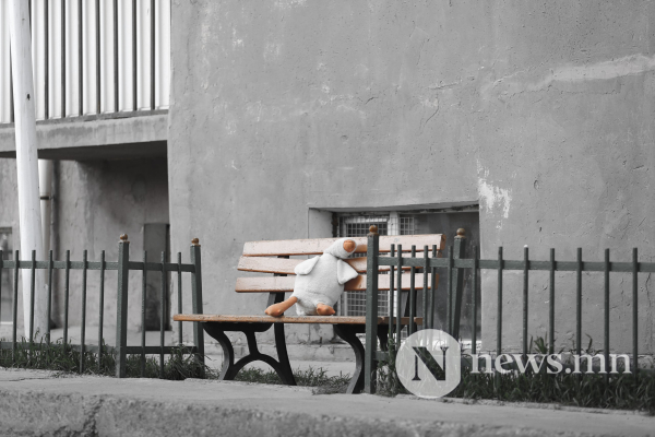 Фото сурвалжлага: Хүүхдүүдэд гоё зуслан биш аюулгүй тоглох газар хэрэгтэй байна Фото сурвалжлага: Хүүхдүүдэд гоё зуслан биш аюулгүй тоглох газар хэрэгтэй байна