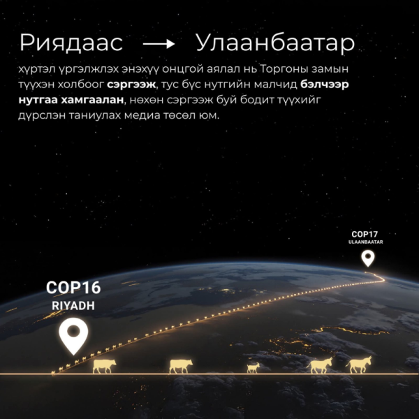 "Торгоны замын тэмээн жингийн цуваа" олон улсын аялал 6000 км замыг туулан Монголд ирнэ