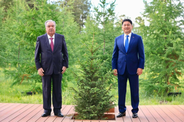 Ард түмний найрамдал, нөхөрлөлийг бэлгэдэн дурсгалын мод тарив
