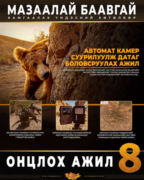 “Мазаалай баавгай хамгаалах үндэсний хөтөлбөр”-өөр суурилуулсан камераар 13 алманцгийг бүртгэжээ